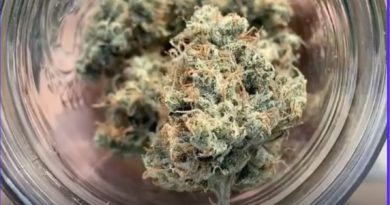 sour by bronson farms strain review by burlandoelsystema