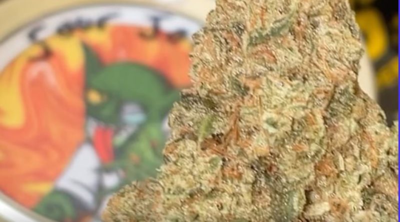 sour josh by the pheno goblin strain review by letmeseewhatusmokin