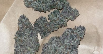 white truffles by higher growth gardens strain review by pressurereviews