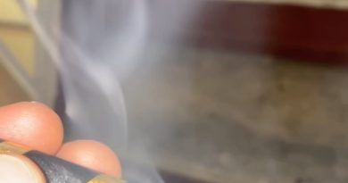 24k shine papers review by letmeseewhatusmokin