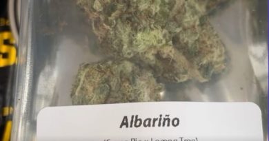 albarino by dorsia strain review by letmeseewhatusmokin
