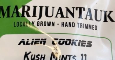 alien og x kush mints #11 by marijuantauk strain review by letmeseewhatusmokin