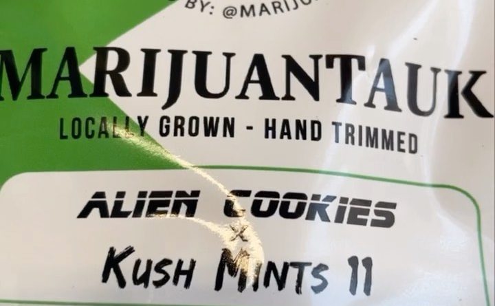 alien og x kush mints #11 by marijuantauk strain review by letmeseewhatusmokin