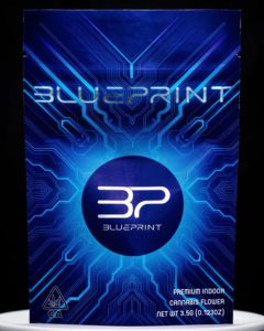 backyard boogie by blueprint strain review by thebudstudio