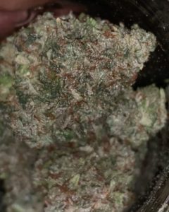 blueberry tartz #2 by waka strain review by feartheterps