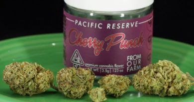 cherry punch by pacific reserve strain review by ogweedreview