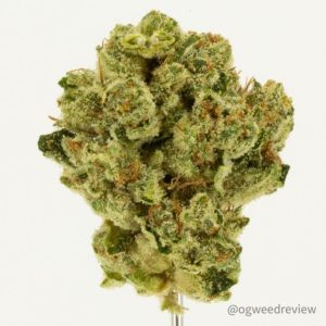 club 33 og by 3c farms strain review by ogweedreview 2