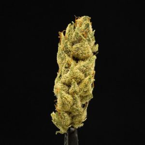 colombian haze by seven leaves strain review by ogweedreview 2