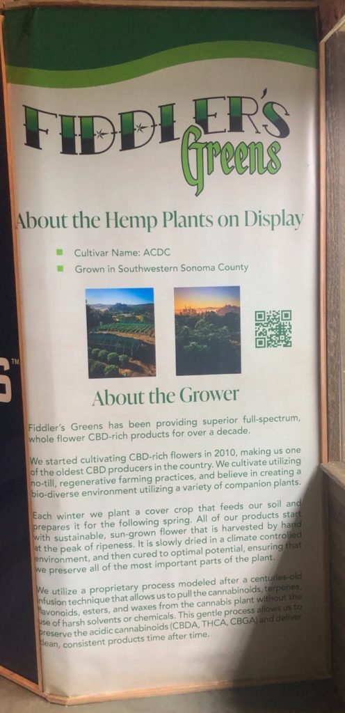 fiddler's green acdc plants on display