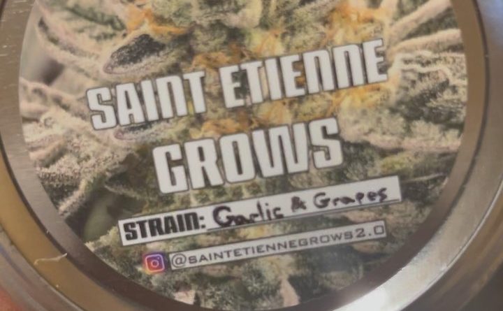 garlic and grapes by saint etienne grows strain review by feartheterps