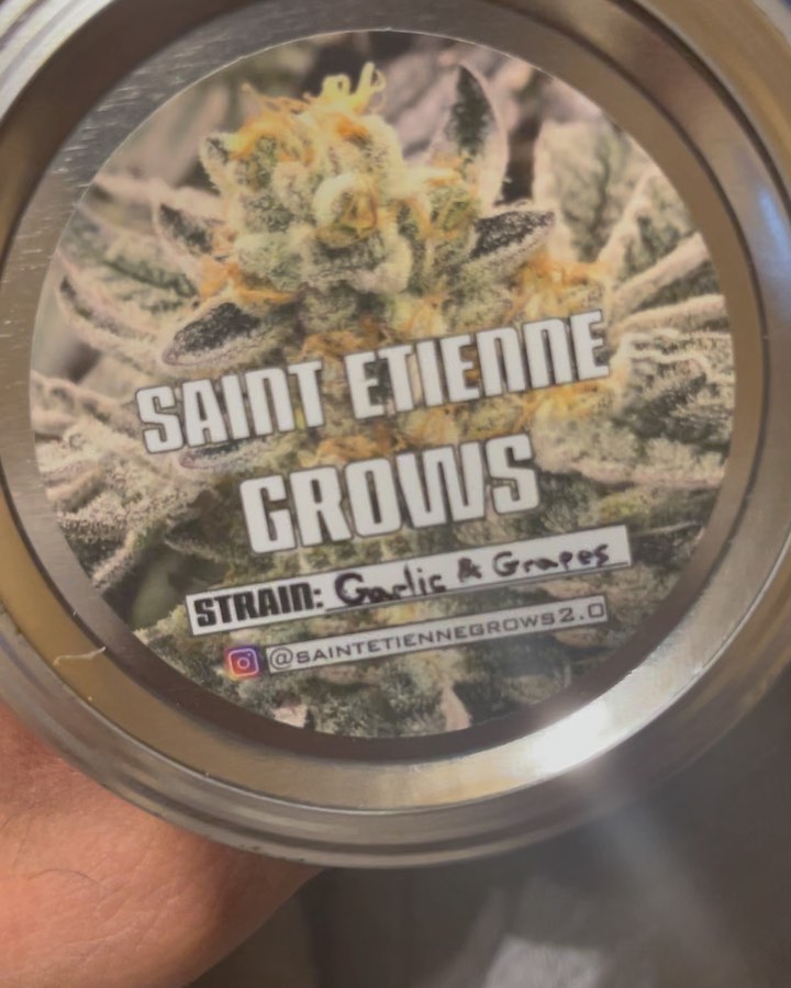 garlic and grapes by saint etienne grows strain review by feartheterps