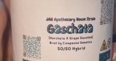 gaschata by jah apothecary strain review by letmeseewhatusmokin