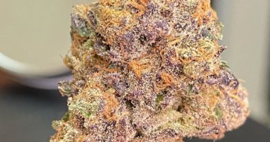 grandma's cookies by team elite genetics strain review by cali_bud_reviews