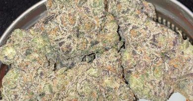 horchata from bad larry buds strain review by toptierterpsma