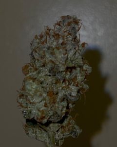 ines by unorthdocbutaddictive strain review by feartheterps 2