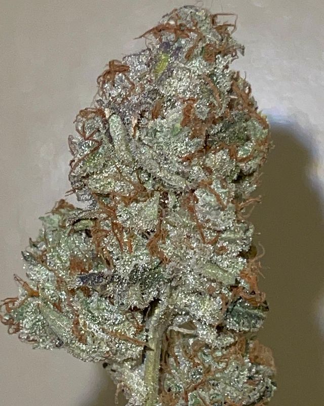 ines by unorthdocbutaddictive strain review by feartheterps