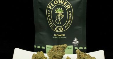 key lime jack by flower co. strain review by ogweedreview