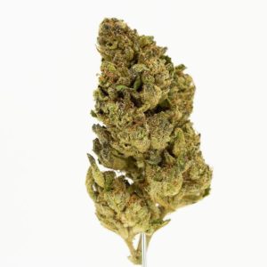 kush mintz by xotic flavorz strain review by ogweedreview 2