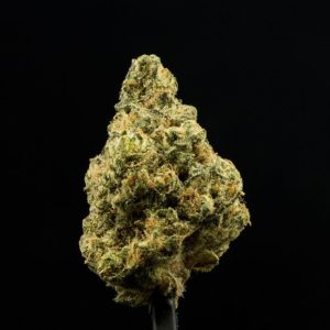 lavender 9 by flowershop strain review by ogweedreview 2