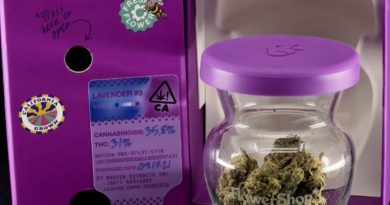 lavender 9 by flowershop strain review by ogweedreview