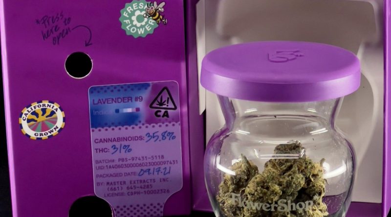 lavender 9 by flowershop strain review by ogweedreview