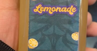 lemonade by heavy headz drinkable review by letmeseewhatusmokin