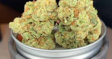 moon puppies by 7 points oregon strain review by pnw_chronic