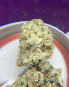 moon puppies by 7 points oregon strain review by pnw_chronic 2