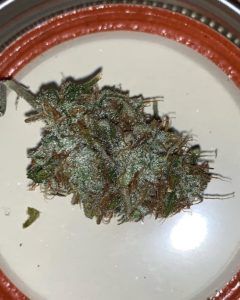 mz cookiez by unorthadocbutaddictive strain review by feartheterps 2