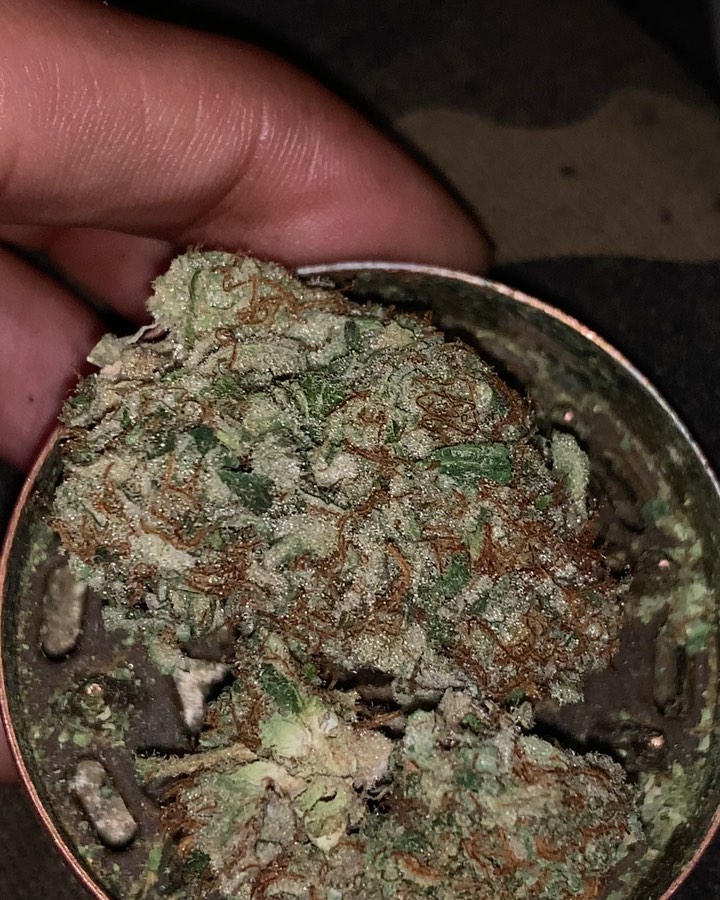 Strain Review Orange Cheddar Cheese by WAKA The Highest Critic