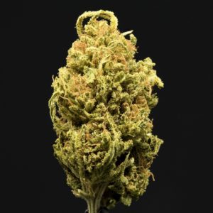 orange valley sun by moon made farms strain review by ogweedreview