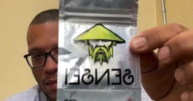 piff coast sour diesel by sensei cult strain review by letmeseewhatusmokin