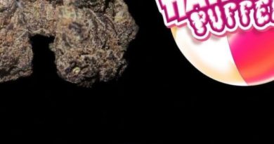 pink hawaii pufferz by pufferz x za city exotics strain review by letmeseewhatusmokin