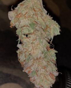 rude boi og 7 by waka strain review by feartheterps