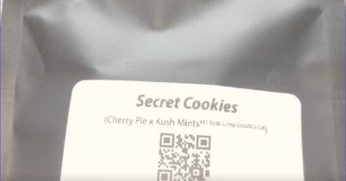 secret cookies by dorsia strain review by letmeseewhatusmokin