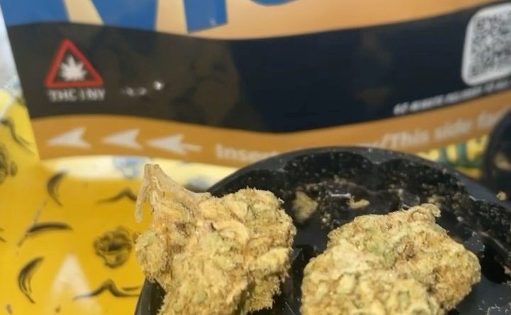 sour mintz by metrobud new york strain review by letmeseewhatusmokin