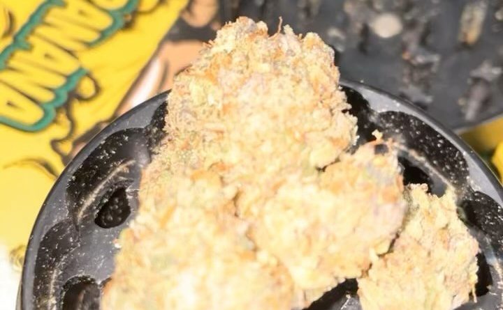 starcab by loyalty7_icmag strain review by letmseewhatusmokin