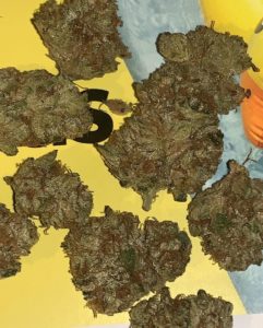 wedding cake by saint etienne grows strain review by feartheterps 2