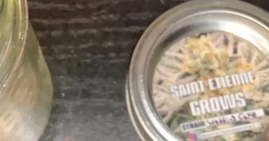 wedding cake by saint etienne grows strain review by feartheterps
