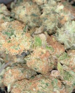 zake 1 by waka strain review by feartheterps