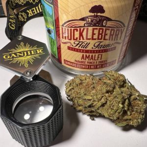 amalfi by huckleberry hill farms strain review by justin_the_ganjier
