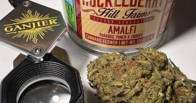 amalfi by huckleberry hill farms strain review by justin_the_ganjier