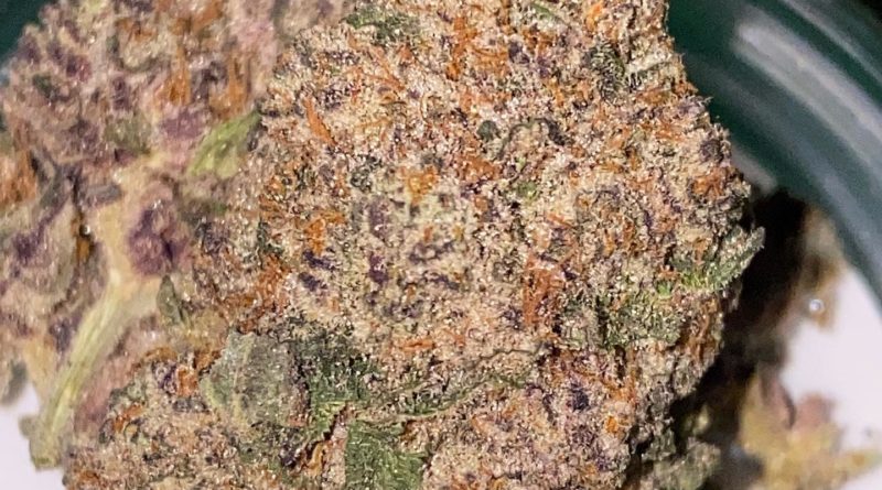 apple banana gelato by kindly cannabis strain review by dopamine