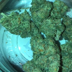 bacio 41 by greasy couture strain review by feartheterps
