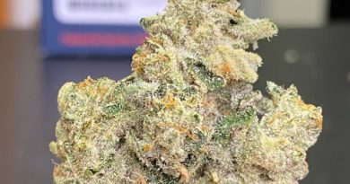 biscotti motorbreath cut by fig farms strain review by cali_bud_reviews