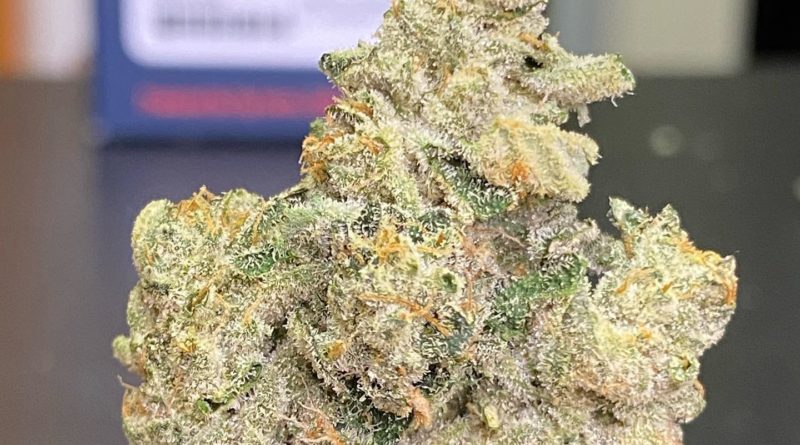 biscotti motorbreath cut by fig farms strain review by cali_bud_reviews
