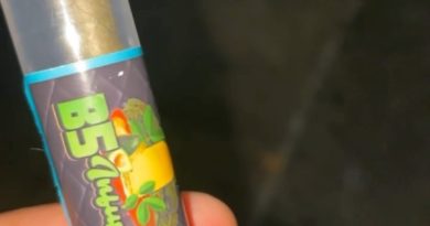 blueberry infused king palm blunt by b5 infusions preroll review by letmeseewhatusmokin