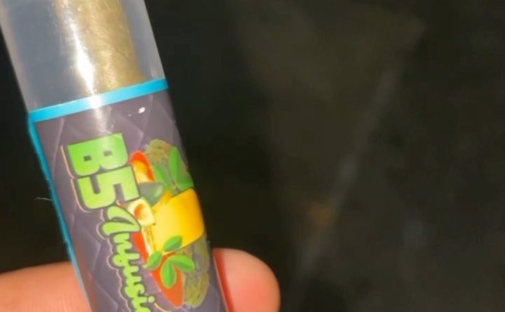 blueberry infused king palm blunt by b5 infusions preroll review by letmeseewhatusmokin