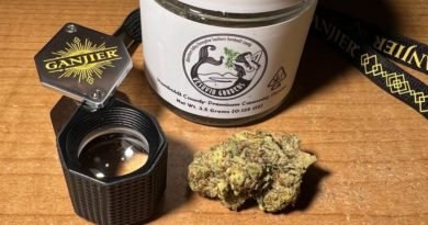 bubblebath by vesuvio gardens strain review by justin_the_ganjier