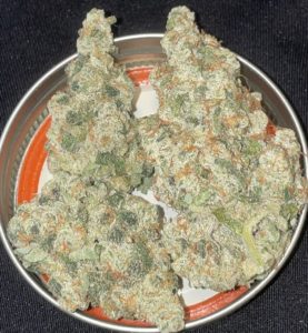 dual og by pax genetics strain review by toptierterpsma